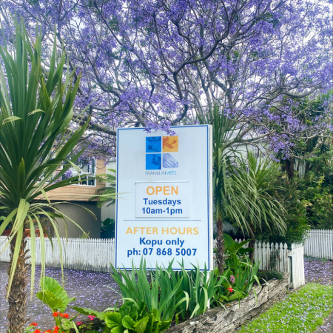Coromandel