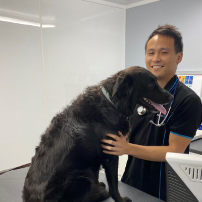 Dr Matt Wong BVsc